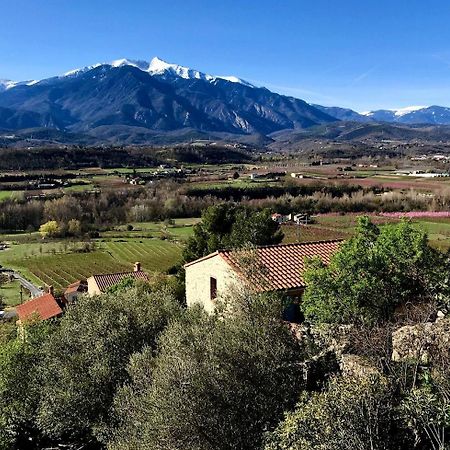 ホテル Casa Ilicia Eus エクステリア 写真