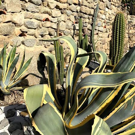 ホテル Casa Ilicia Eus エクステリア 写真