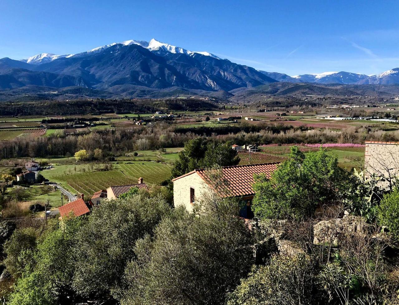 ホテル Casa Ilicia Eus エクステリア 写真