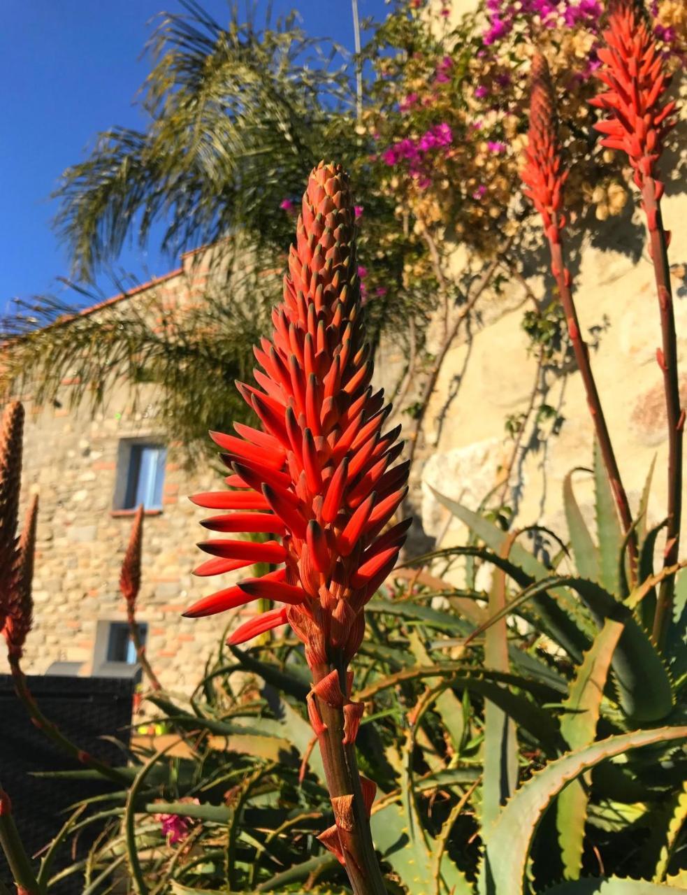 ホテル Casa Ilicia Eus エクステリア 写真
