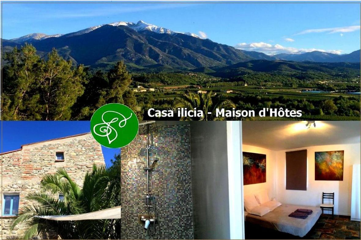 ホテル Casa Ilicia Eus エクステリア 写真