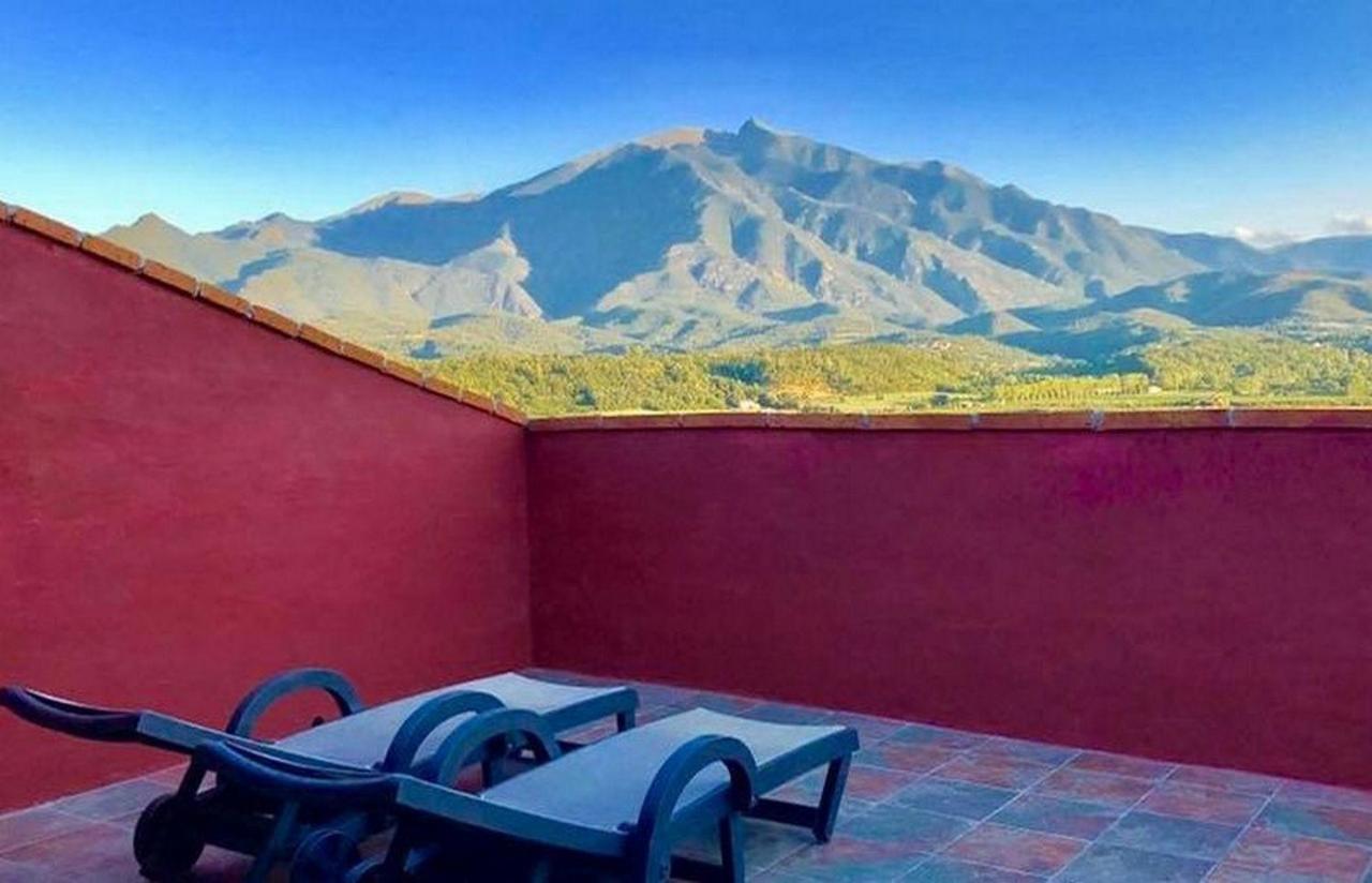ホテル Casa Ilicia Eus エクステリア 写真