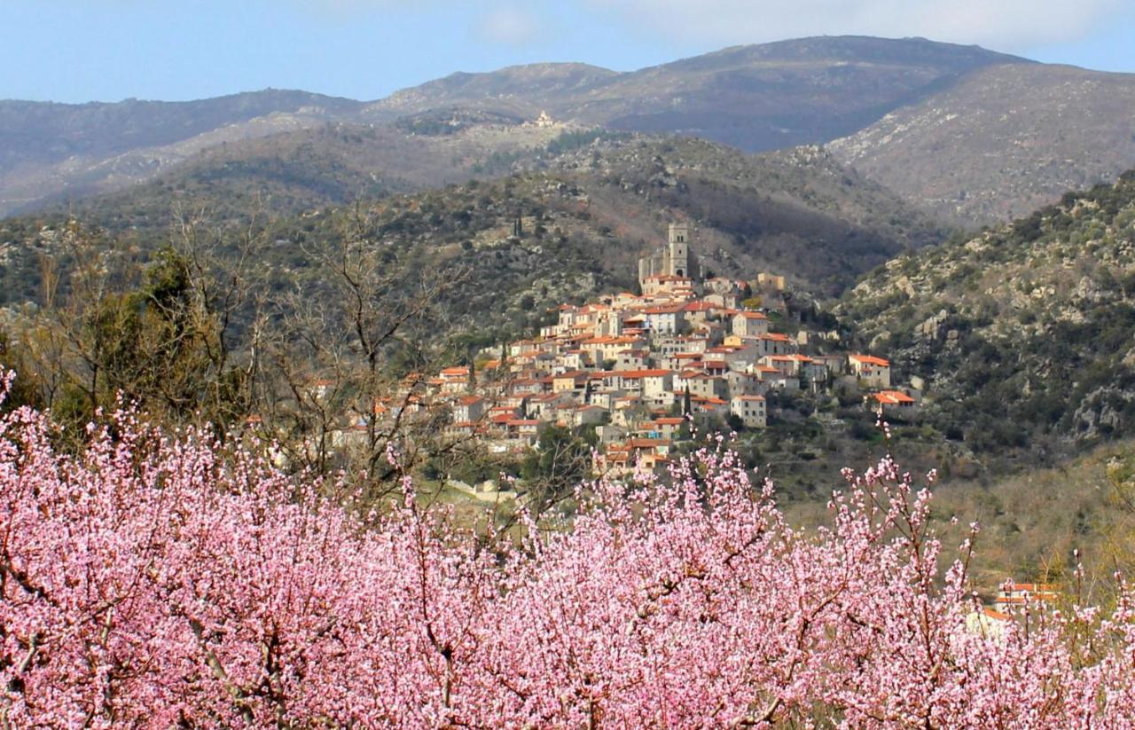 ホテル Casa Ilicia Eus エクステリア 写真