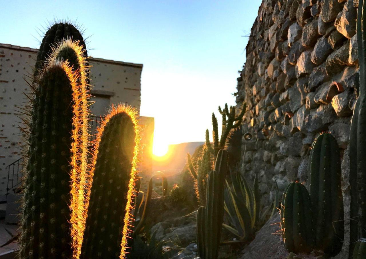 ホテル Casa Ilicia Eus エクステリア 写真